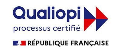 logo qualiopi certifying the msc mba inseec