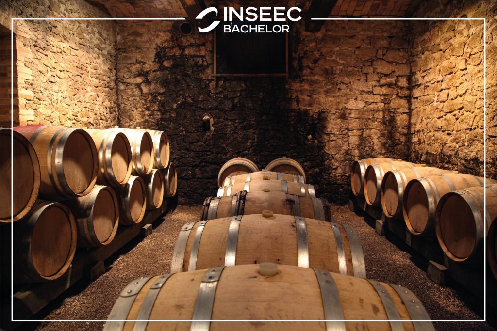 cave à vin inseec bachelor