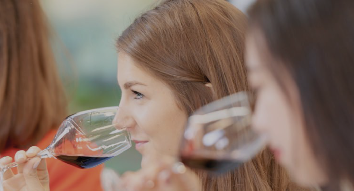MSc Wine Marketing & Management INSEEC