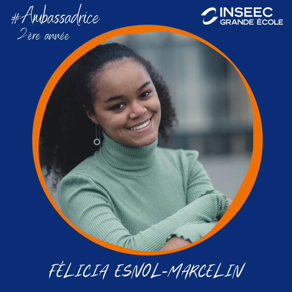 ambassador inseec grande ecole