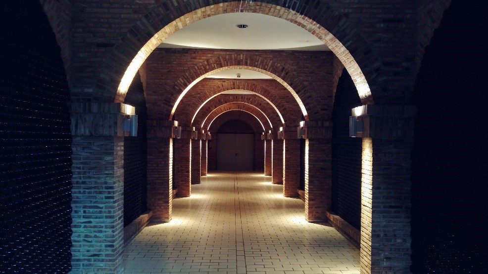 Visite des Chais de marco real