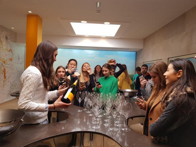 groupe d’étudiants de l’inseec en voyage d’étude luxe