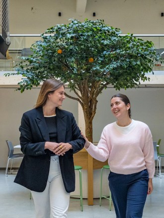 Étudiantes souriantes de l’école de commerce INSEEC devant l’oranger dans le hall du campus de Rennes