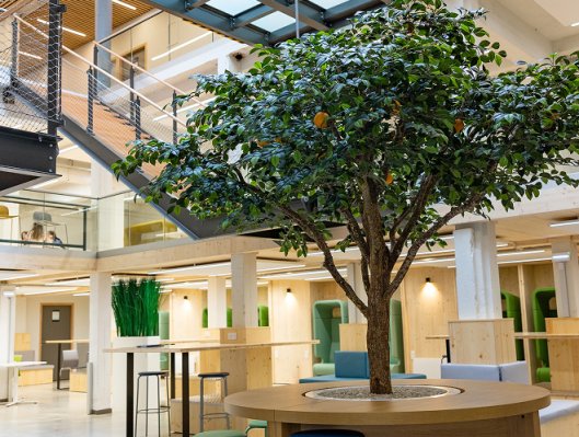 Photo de l’intérieur rénové du campus de Rennes de l’école de commerce INSEEC