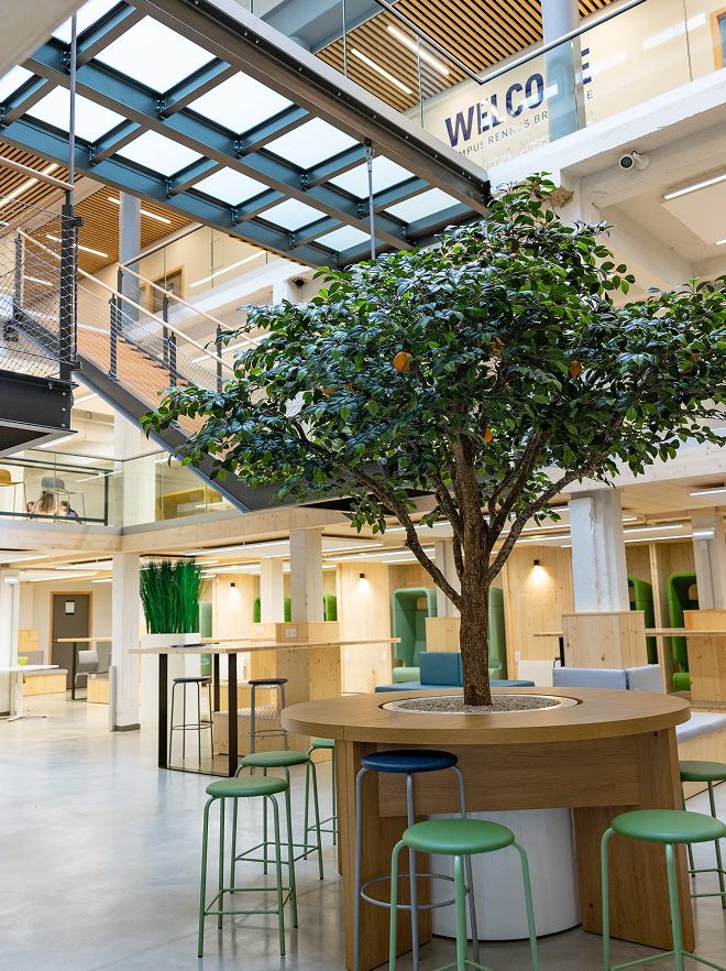 Photo de l’intérieur rénové du campus de Rennes de l’école de commerce INSEEC