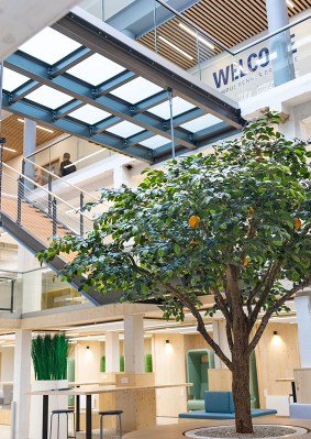 Photo de l’intérieur rénové du campus de Rennes de l’école de commerce INSEEC