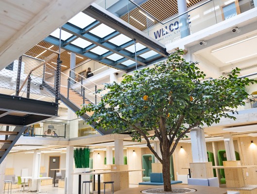 Photo de l’intérieur rénové du campus de Rennes de l’école de commerce INSEEC