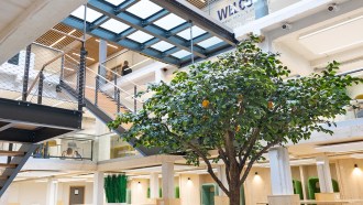 Photo de l’intérieur rénové du campus de Rennes de l’école de commerce INSEEC