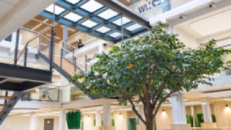 Photo of the renovated interior of the Rennes campus of the INSEEC business school