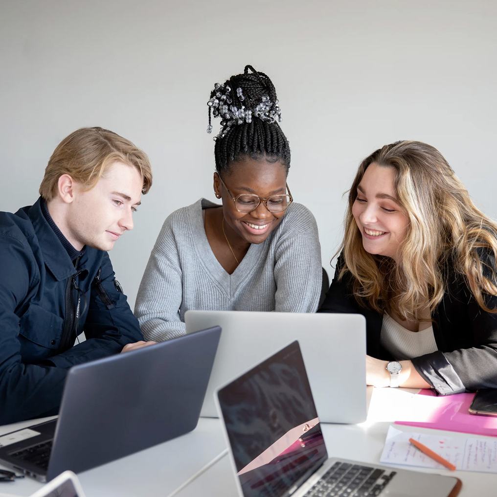 Le Programme Bachelor - INSEEC