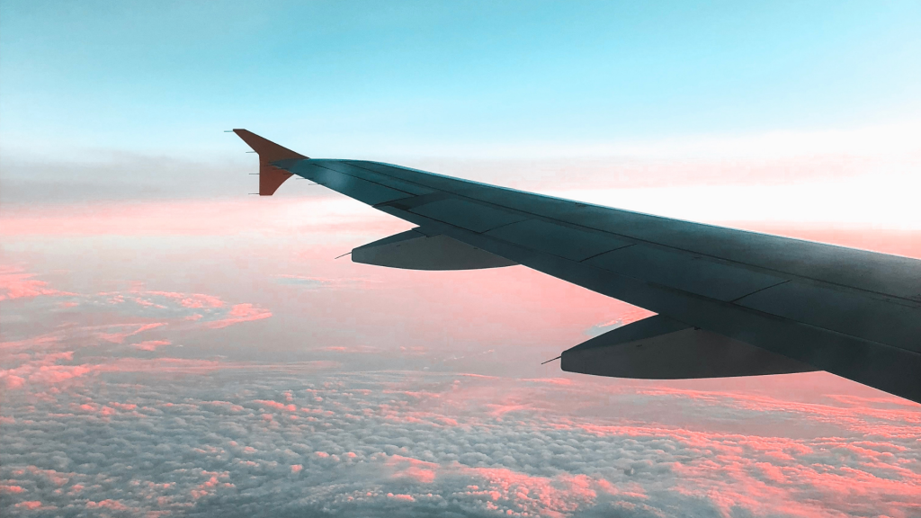 Photo of a plane in flight taken by a BBA INSEEC student on exchange abroad