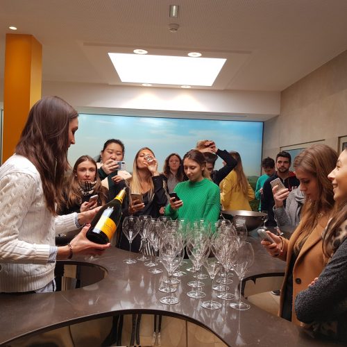 groupe d’étudiants de l’inseec en voyage d’étude luxe