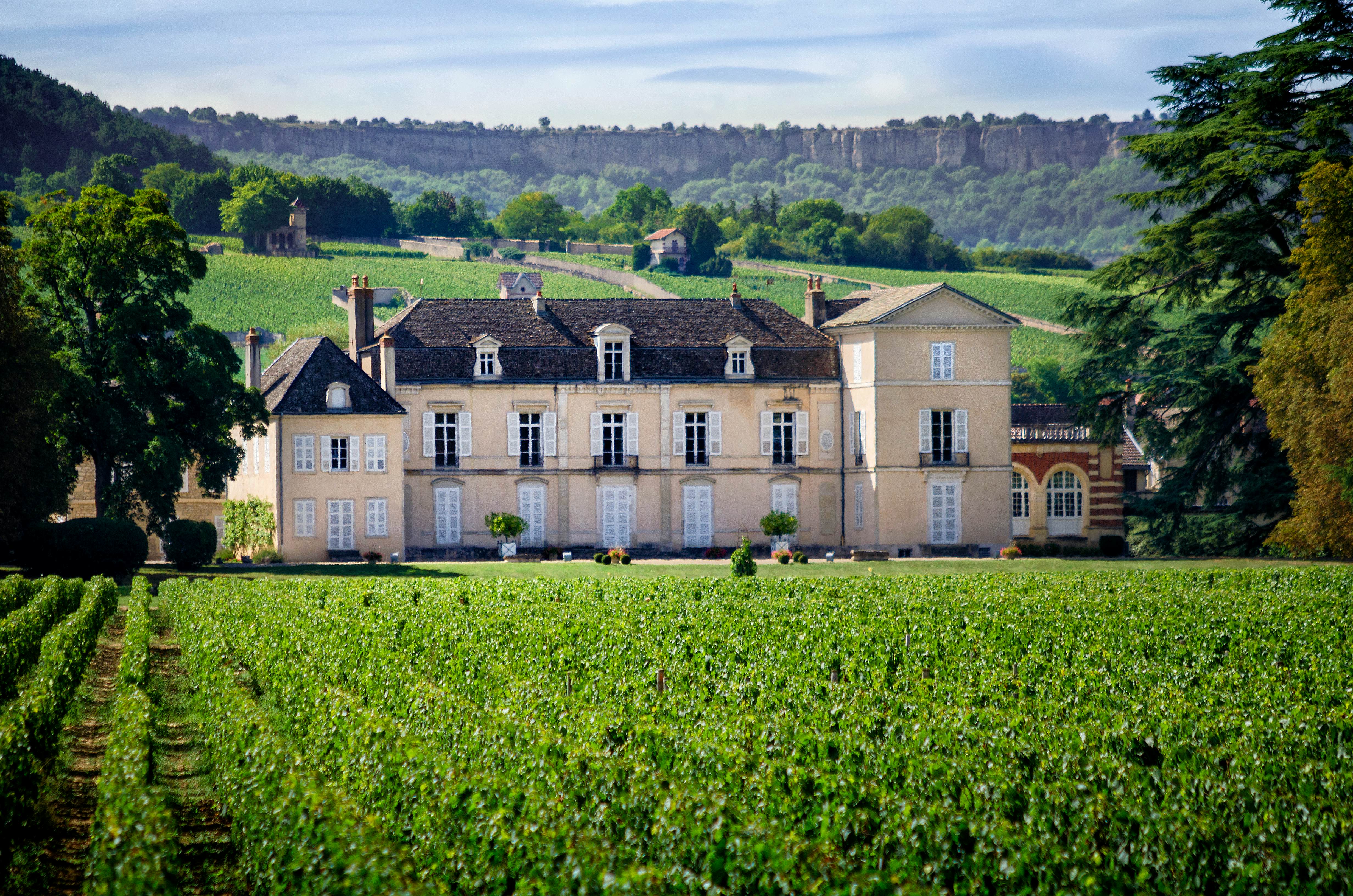 Exemple du patrimoine culturel (Château de Meursault) proche du campus de l’INSEEC à Beaune